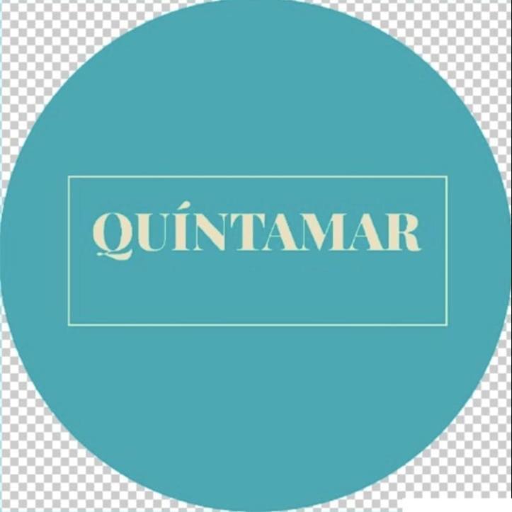 Hostal Turismo Quintamar 2 Він'я-дель-Мар Екстер'єр фото